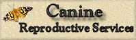 Canine Reproductive Services