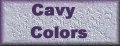 Cavy Color information